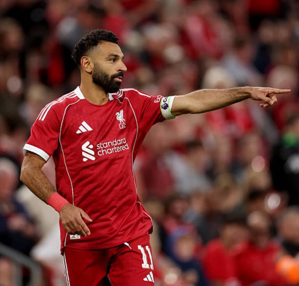 超最顶级的, 将会是对他, 况下